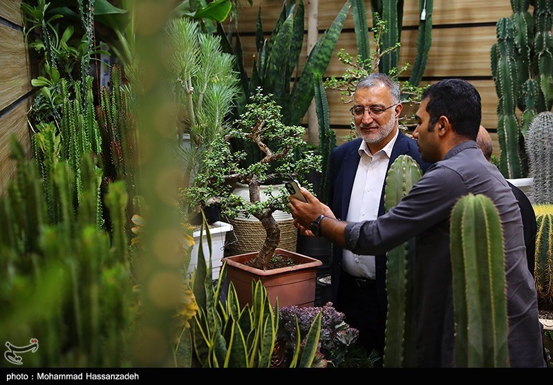 نمایشگاه گل و گیاه