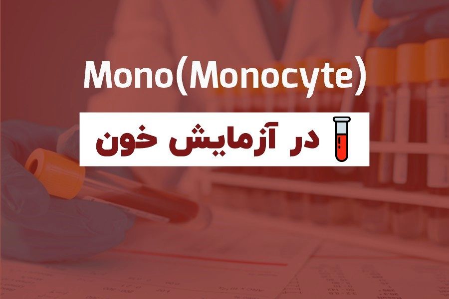 monocyte در آزمایش خون چیست ️ نکس monocyte در آزمایش خون چیست ️ نکس