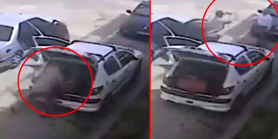 سرقت عجیب در روز روشن + فیلم