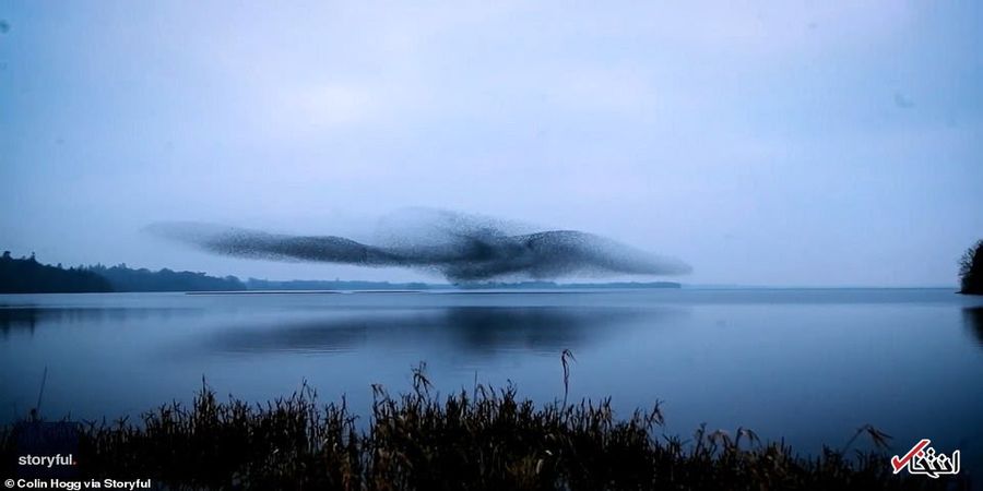 باور کنید این تصاویر فتوشاپ نیستند!