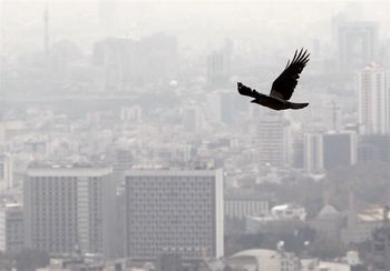 جهش 102 درصدی جرایم تخلفات ساختمانی در تهران؛ آیا تعرفه‌های سال 99 مانع تخلفات می‌شود؟