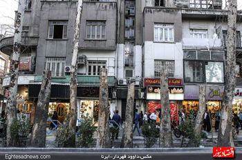تلاش برای ثبت جهانی خیابان ولیعصر 