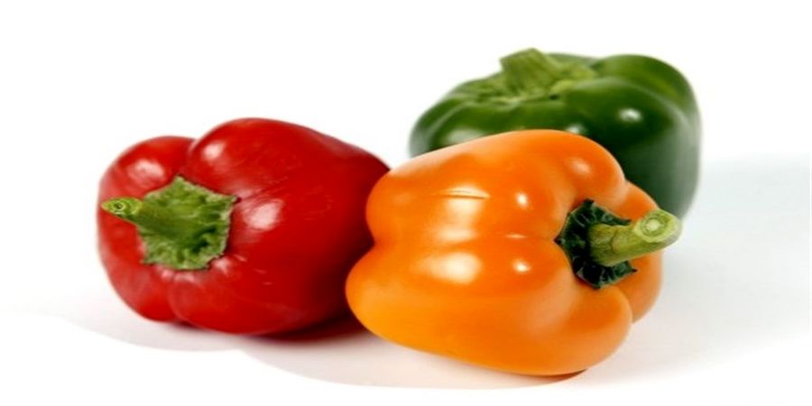 از سرگیری صادرات فلفل دلمه‌ای به روسیه