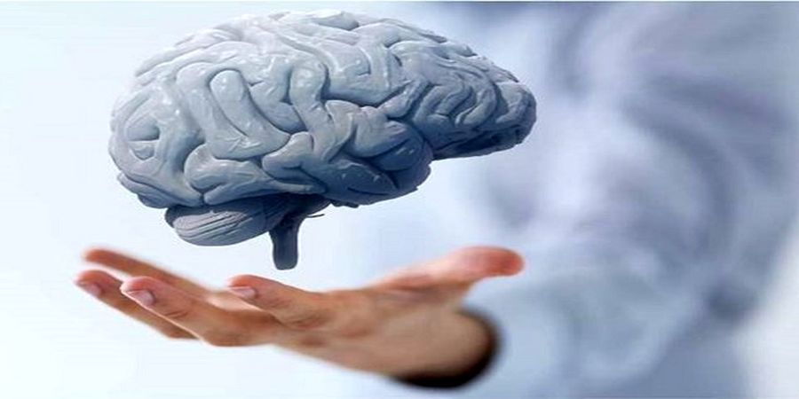 این عادت های غذایی، عامل پیری زودرس مغز می شوند