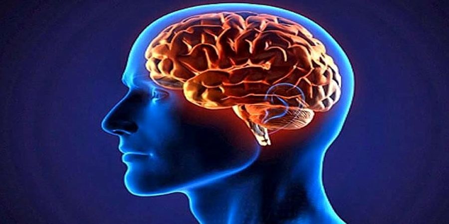 با این روش حافظه تان را تقویت کنید 
