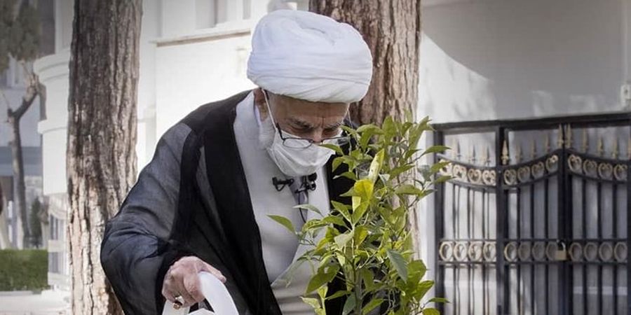 آیت الله جنتی یک اصله نهال کاشت+ عکس
