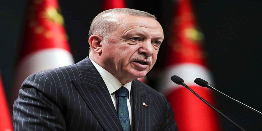 تمجید اردوغان از مبارزه ملت و دولت اوکراین مقابل روسیه