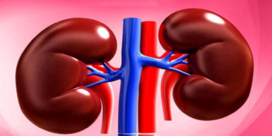 معجزه 2 میوه آبدار تابستانی برای بیماری های کلیه