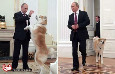 45