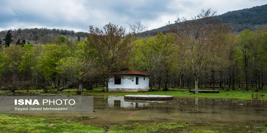 زیبایی کم نظیر بهار در گیلان |تصاویر