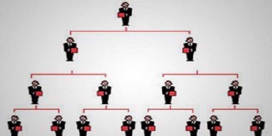 شناسایی و انهدام اعضای یک شرکت هرمی