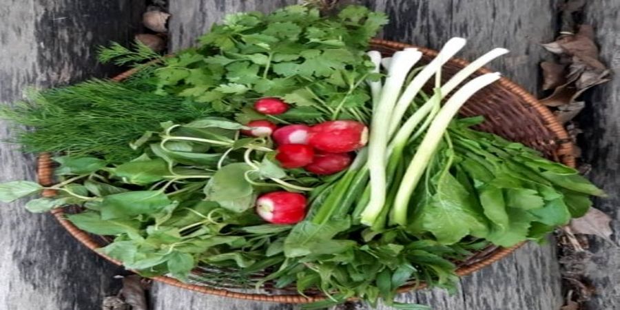 سبزی خوردن را با این روش تا یک هفته تازه نگه دارید