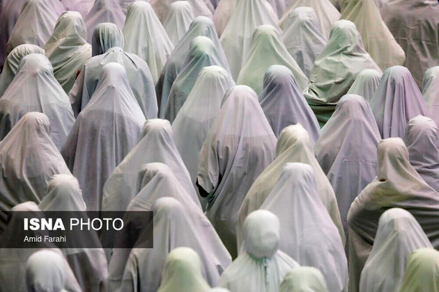 7 عکس متفاوت از قاب دوربین عکاسان | تصاویر 4