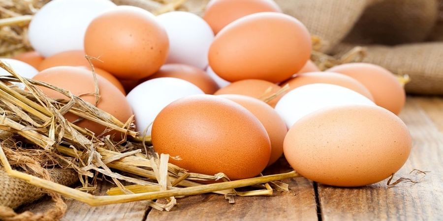 قیمت تخم مرغ اعلام شد/ نرخ ۲ هزار تومان گرانفروشی است