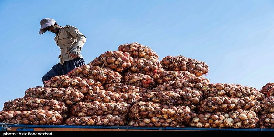 خبر مهم درباره بیمه برای کشاورزان