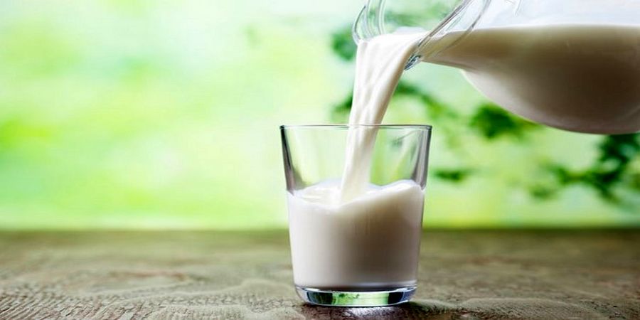 ترکیب این 6 ماده غذایی با شیر خطرناک است