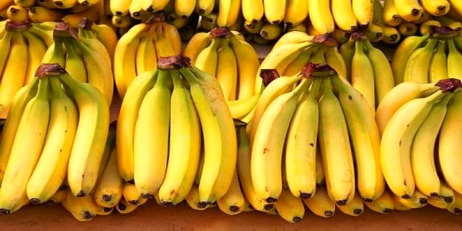 دبیر ستاد تنظیم بازار وعده داد: تعادل قیمت موز ؛ به زودی


