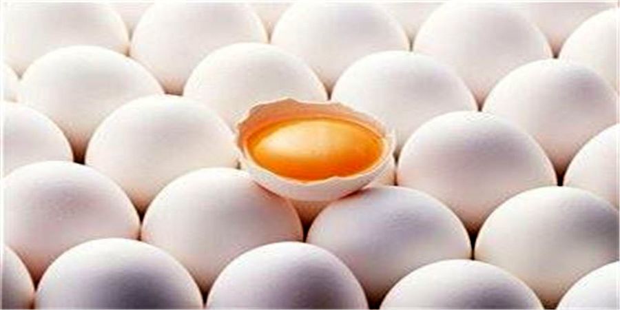 رژیمی مناسب برای لاغرشدن سریع